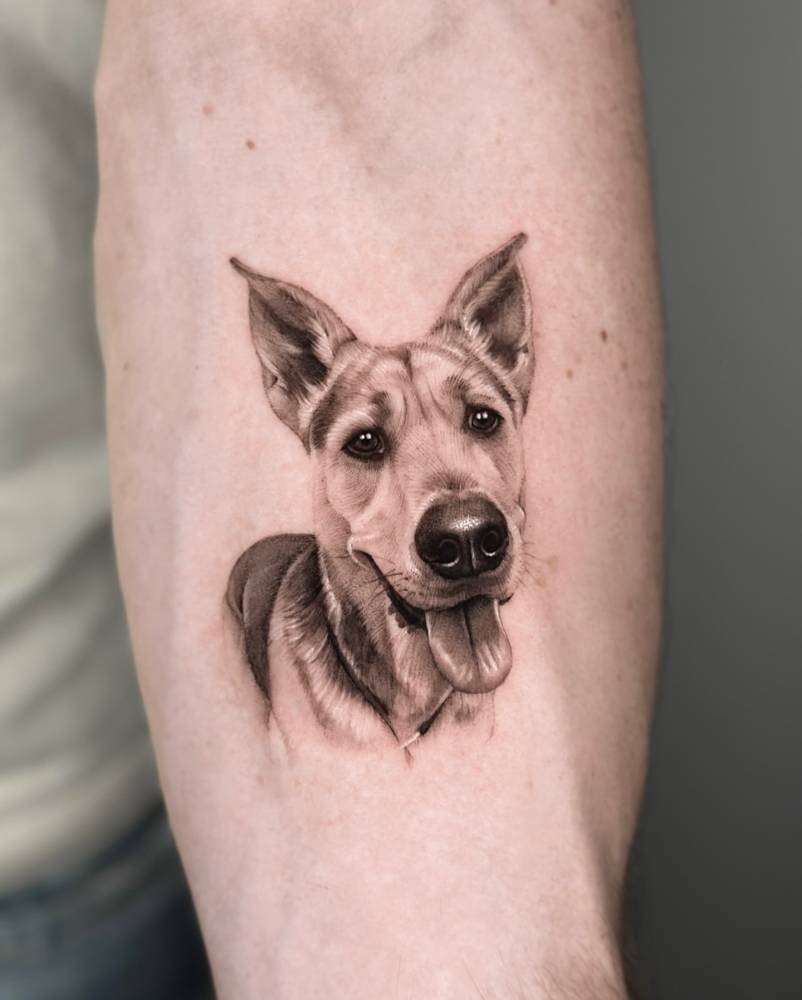 German Shepherd portrait tattoo located on the inner forearm.