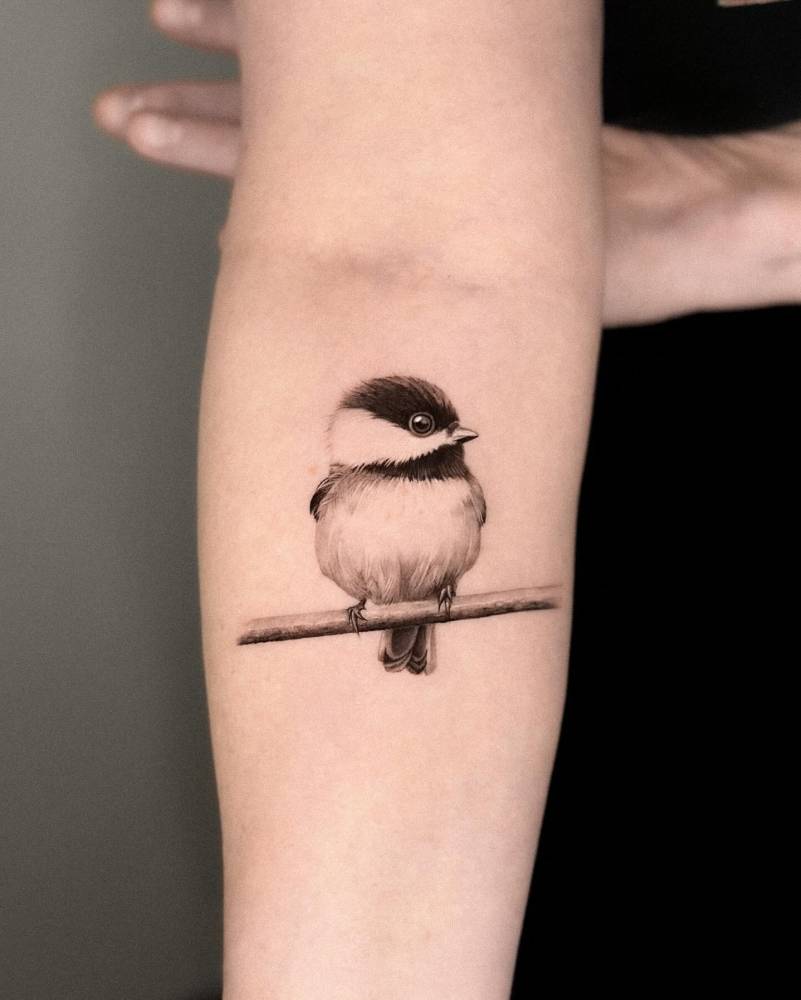 Black capped chickadee tattoo located on the inner forearm.