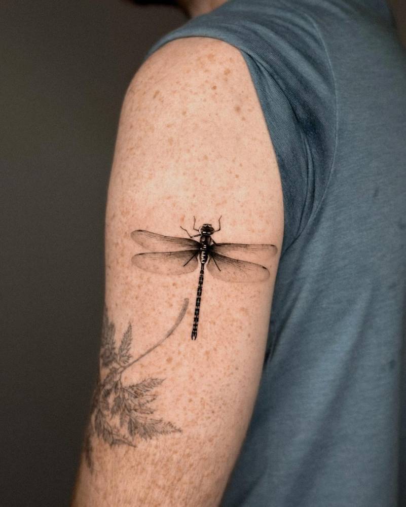 Dragonfly tattoo in micro-realistic style placed on the tricep.