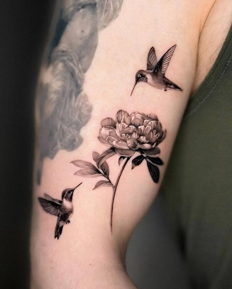 Hummingbirds gathered around the peony.