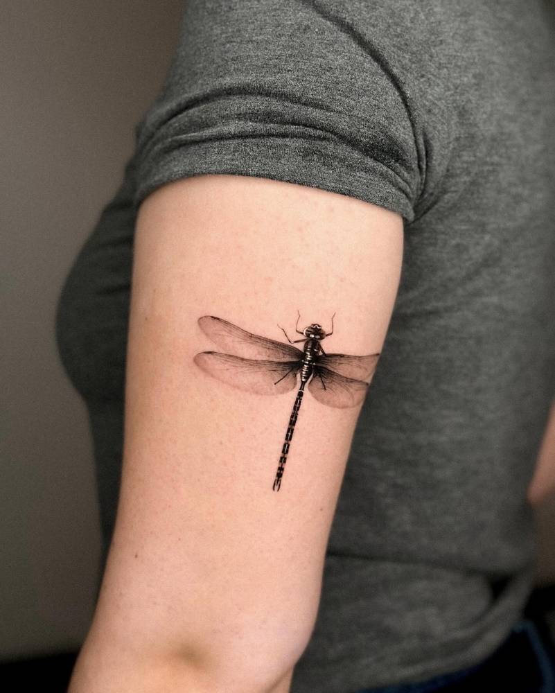 Dragonfly tattoo in micro-realism located on the tricep.