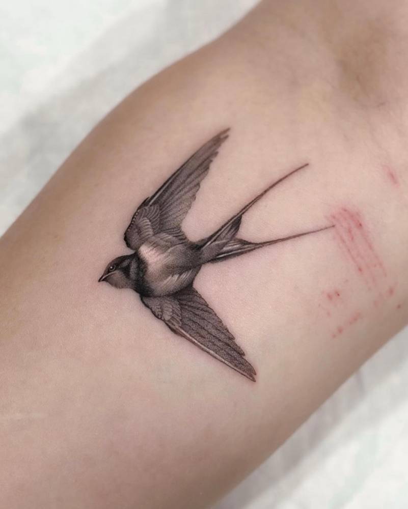 Micro-realistic style swallow tattoo located on the inner forearm.