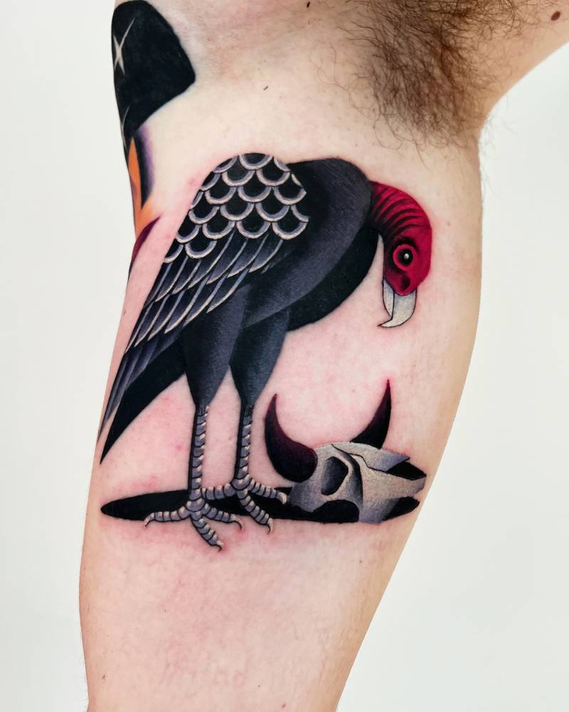 Vulture tattoo in pop art style located on the inner arm.