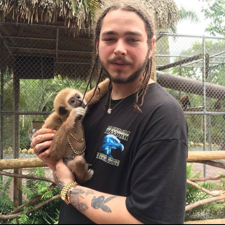 Playboy logo tattoo located on Post Malone's forearm.