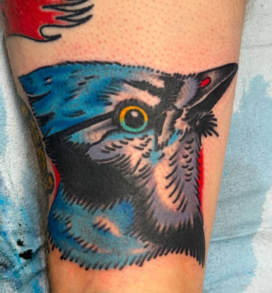 Blue jay portrait tattoo located on the upper arm.