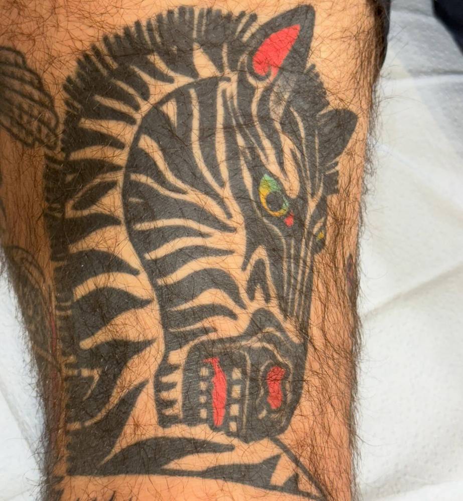 Healed traditional zebra head tattoo located on the thigh.