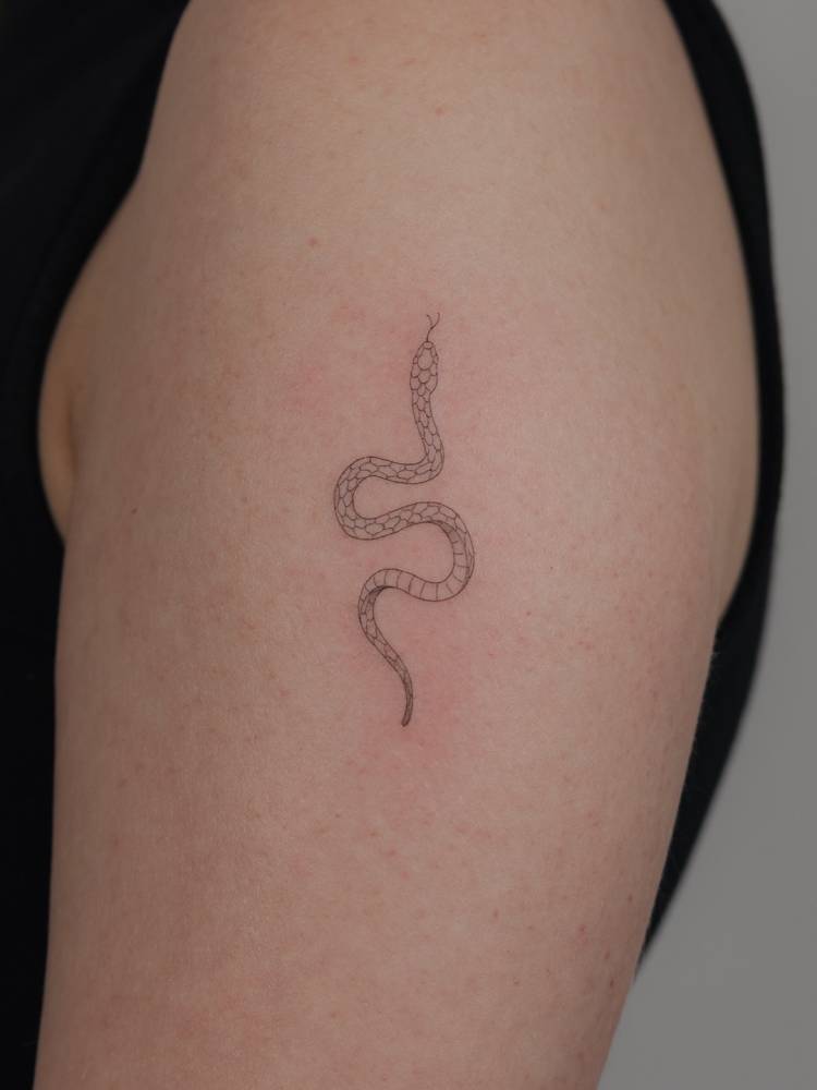 Snake in fine line style tattooed on the upper arm.