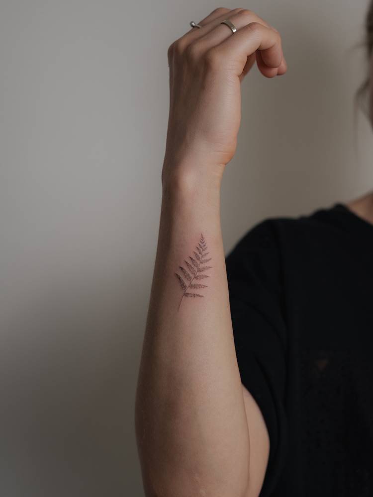 Single needle fern frond tattoo located on the wrist.