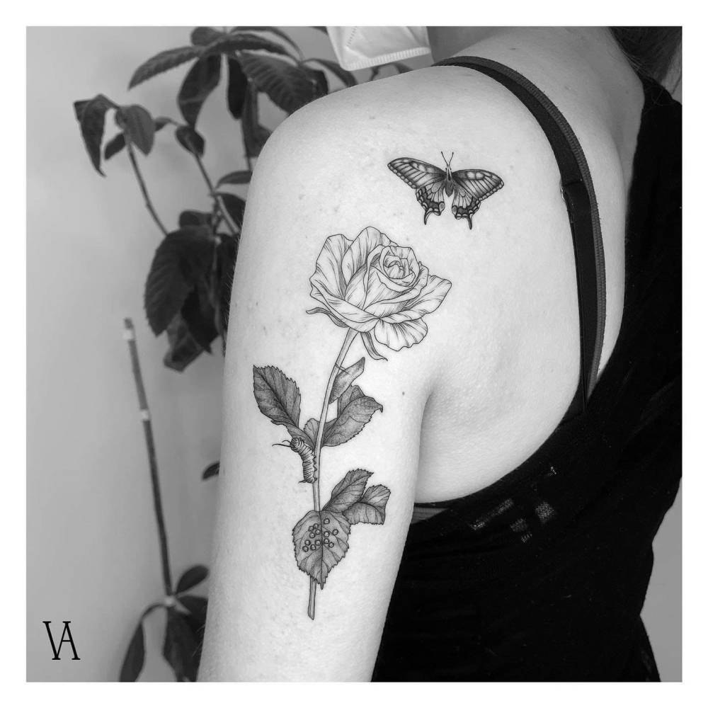 Rose and butterfly tattoo in illustrative style located on the upper arm and shoulder blade.