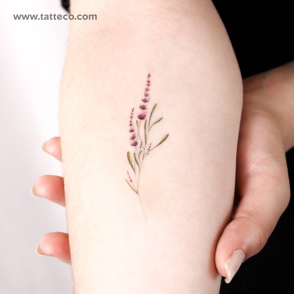 Illustrative style lavender temporary tattoo.