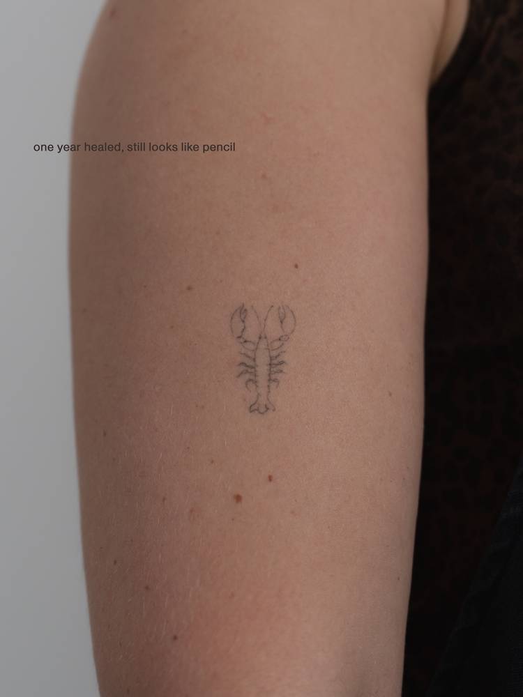 One year healed lobster tattoo done in fine line style.