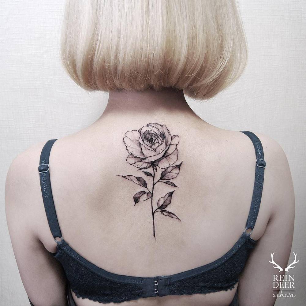 Blackwork/illustrative rose tattoo on the upper back.